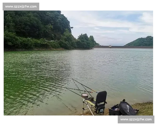 红树林钓鱼的 3 个暗码：99% 的人踩错潮汐与钓点